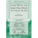 Look What the Lord Has Done (Acc. CD)