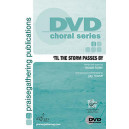 Til the Storm Passes By