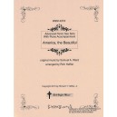 America the Beautiful (Tenor Sax Solo)