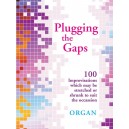 Plugging the Gaps