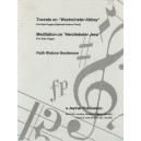 Henderson - Toccata and Meditation *POP*